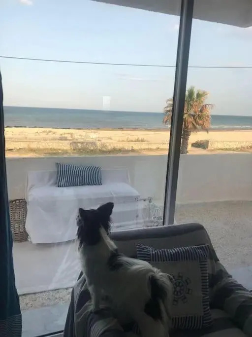 Etage de Maison en face de la mer Korba Plage