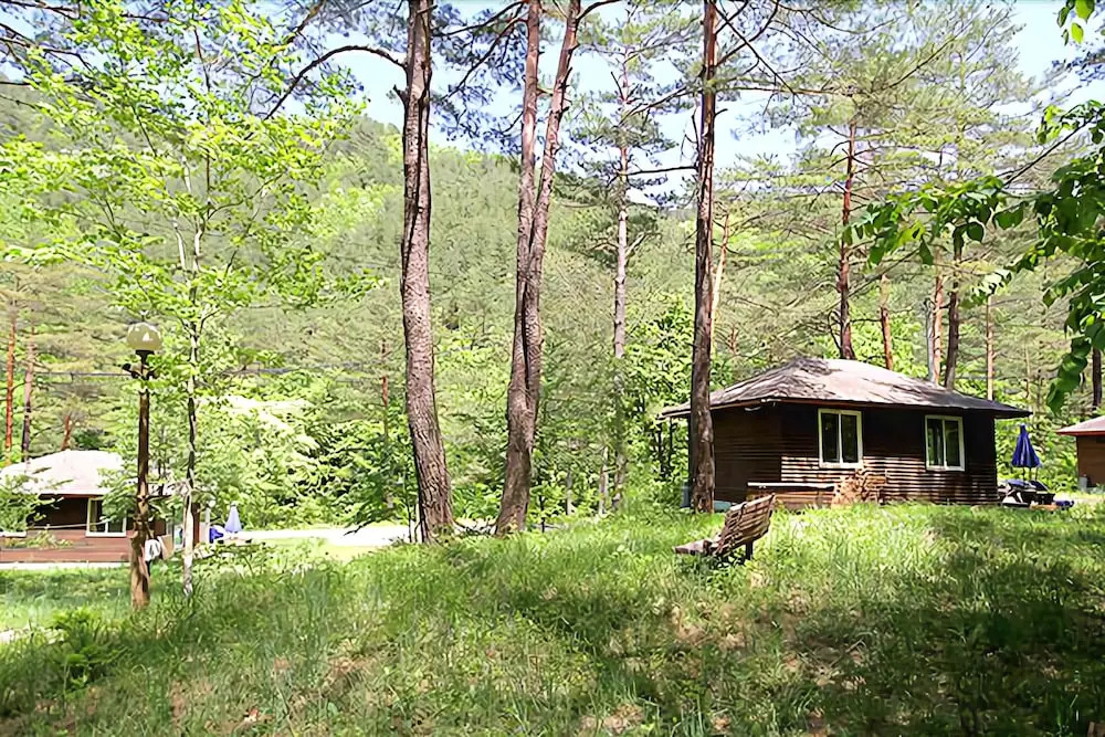 Yangyang Forest Home Pension