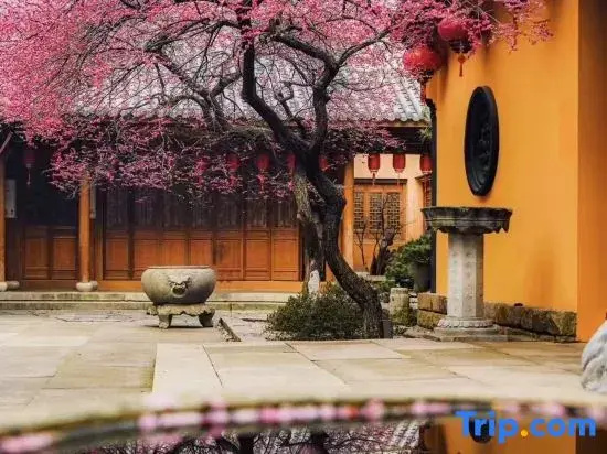 Shankee Tea Style Zhixiang Hotel (Huzhou Zhuangyuan Street Yishang Street)