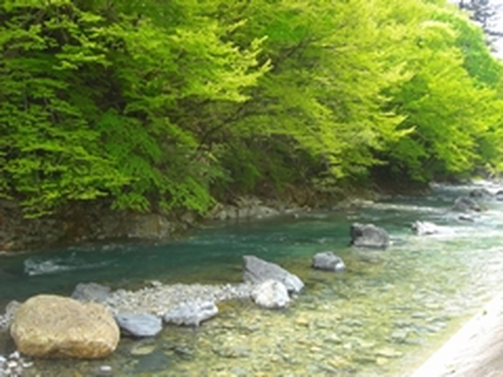Shima Onsen Ayameya Ryokan