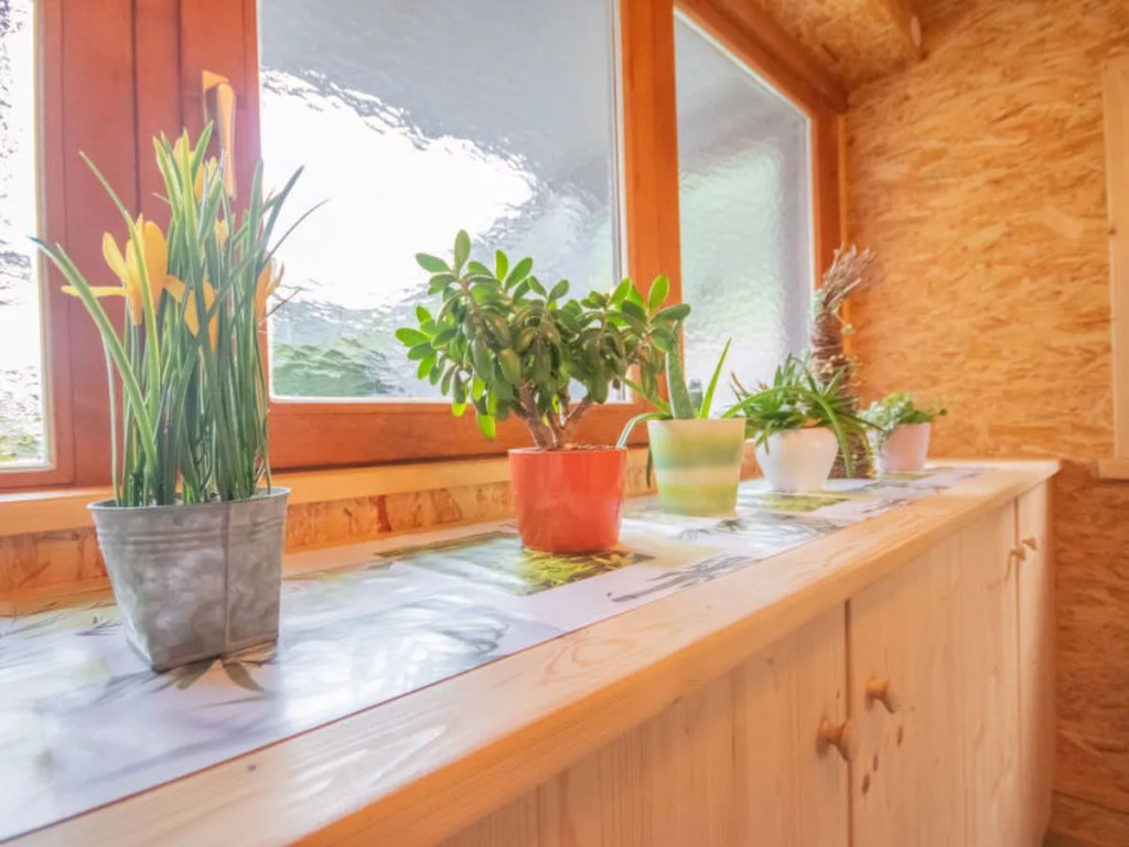 Apartment Anette Umhausen 15072
