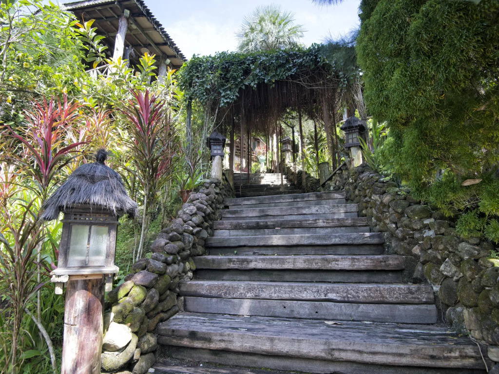 Fig Tree Hills Resort