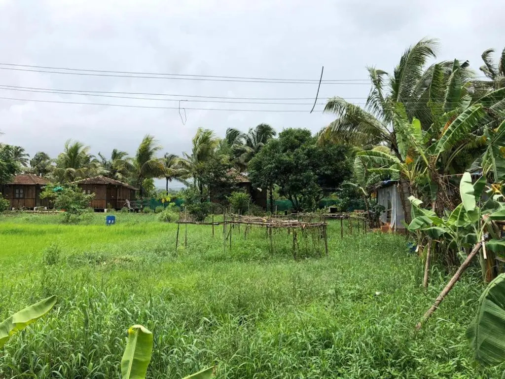 Saligao farm cottage