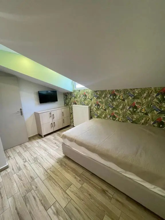 Cozy apartment in paralia ofryniou