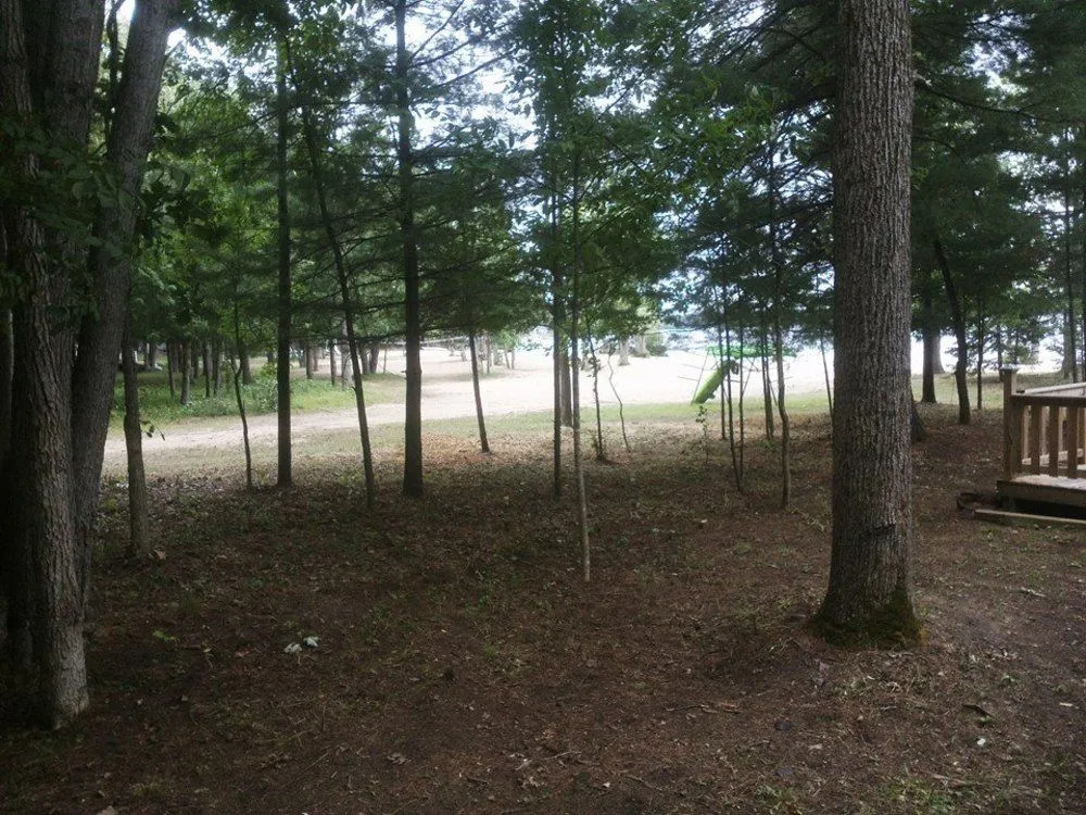 Pine Lodge