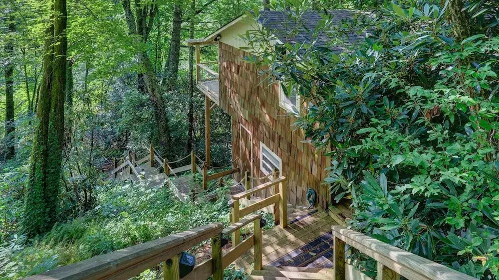 Mountain Laurel Tree House