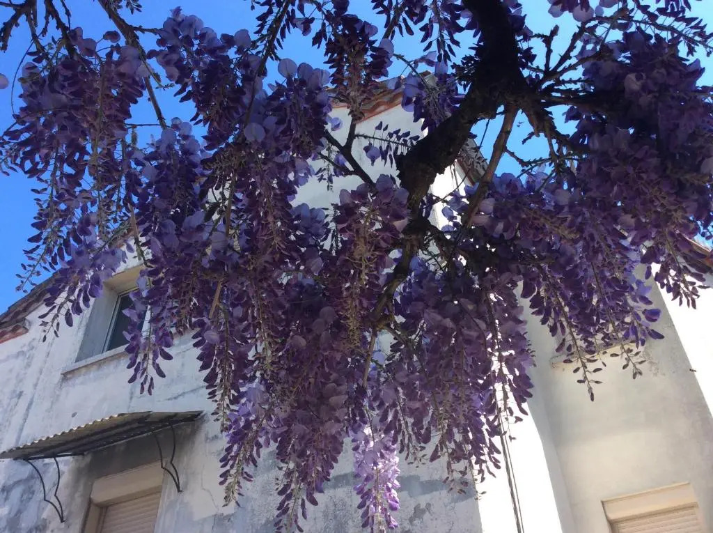 Logis Hotels- Auberge de la Tour - Hôtel et restaurant