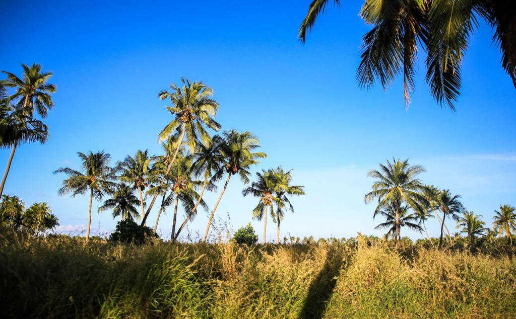 Evila Inn - Thoddoo