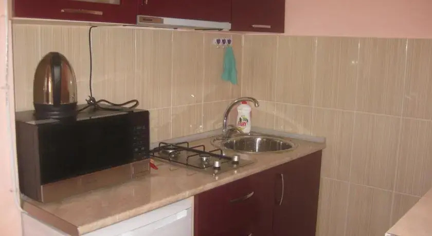 Apartment on Rustaveli avenue