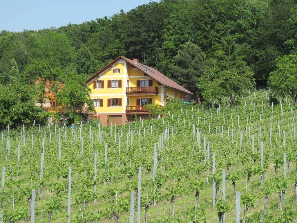 Appartement Weingut Schoberhof