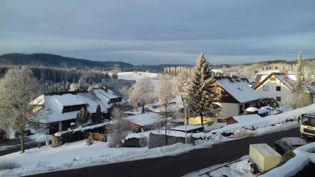 Appartement mit Südbalkon im Haus Feldbergblick in Kappel - Appartement 37
