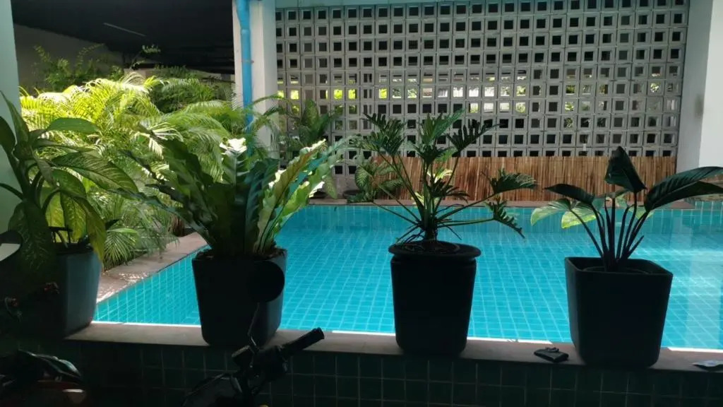 Room 36 service apartment
