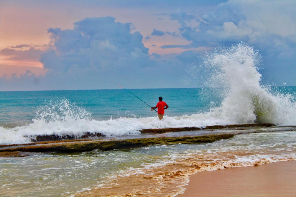 Villa 252 Kosgoda - Beach side stay & Tours