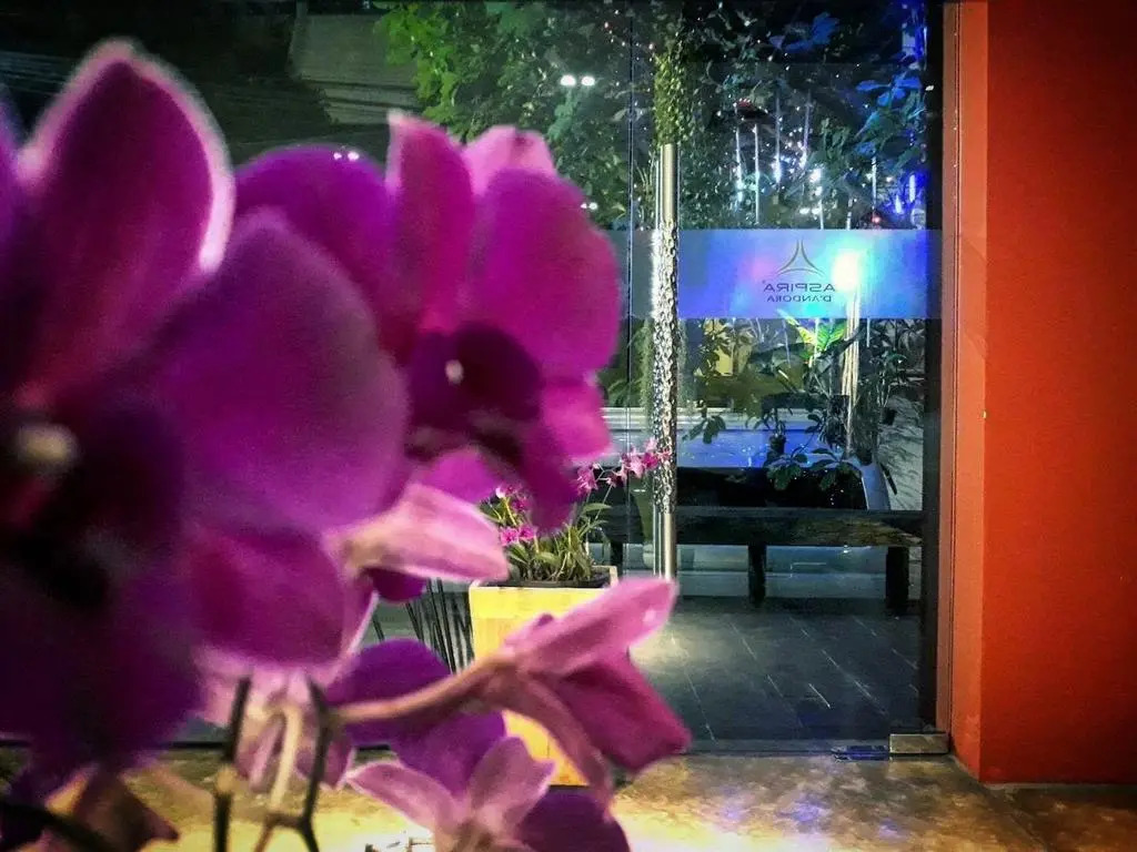 Aspira DAndora Sukhumvit 16 - Asoke