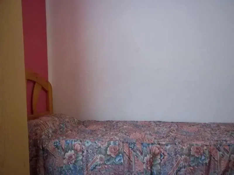 Hypsela