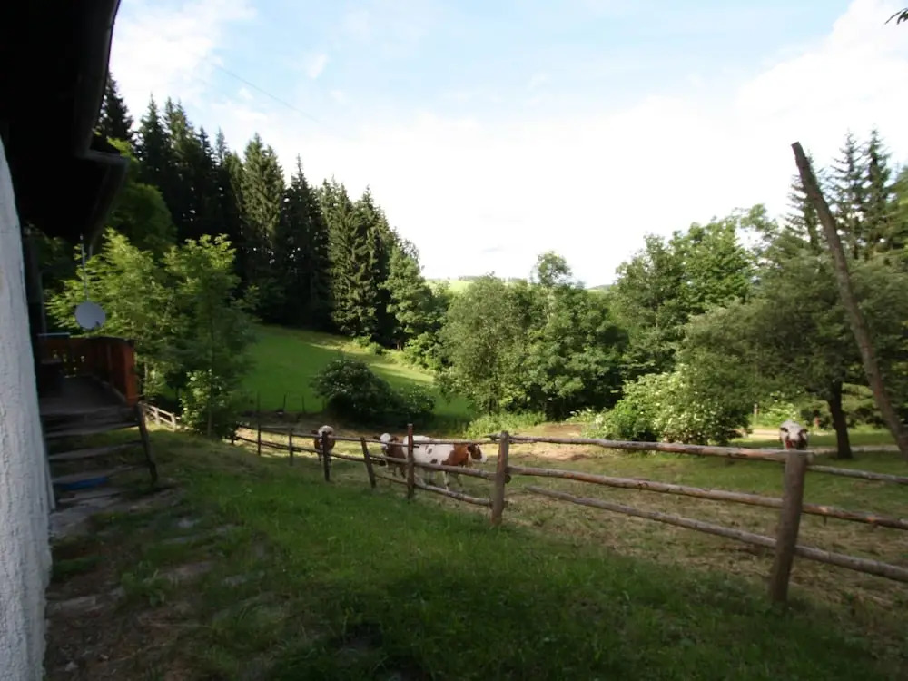 Spacious Chalet with Sauna near Ski Area in Wolfsberg