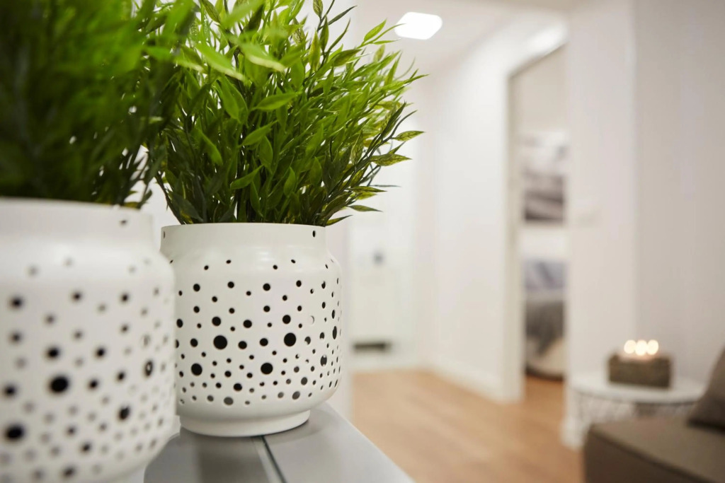 LEEWAYS APARTMENT I in SAN LORENZO