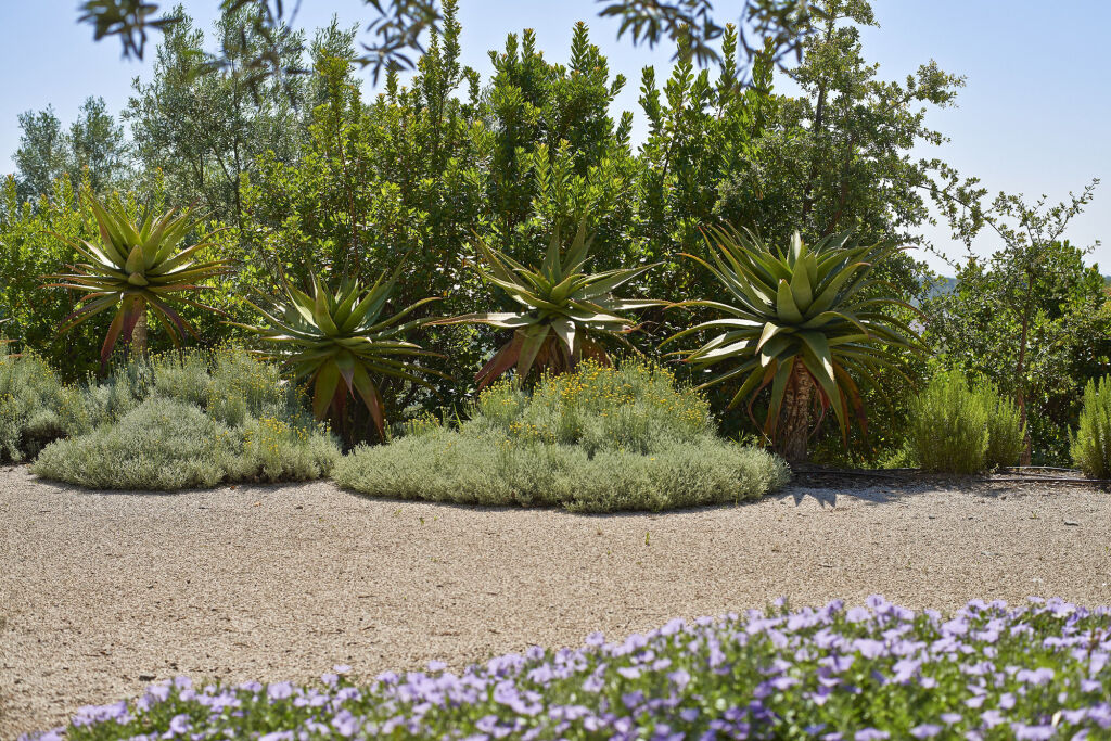 Hotel Rural Quinta do Marco - Nature & Dining