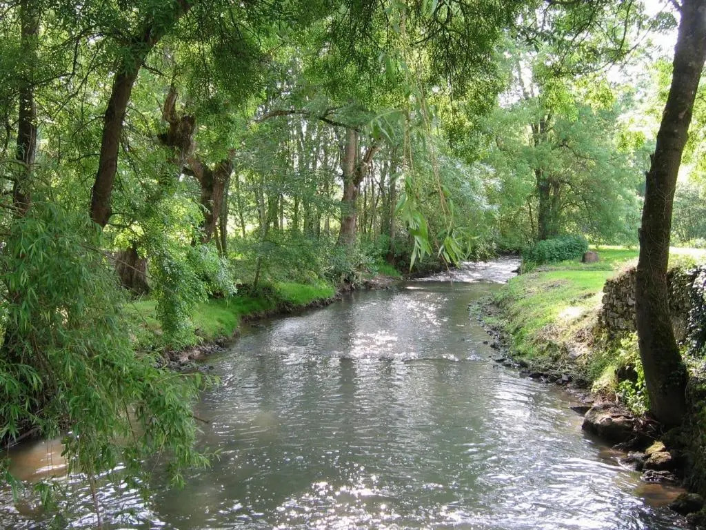 Moulin paisible en Berry avec étang privé, proche du Château de Valençay et Zoo de Beauval - FR-1-591-18