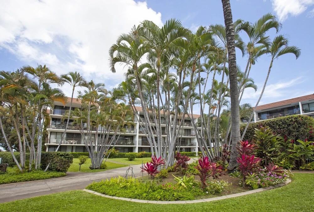 Maui Parkshore #212
