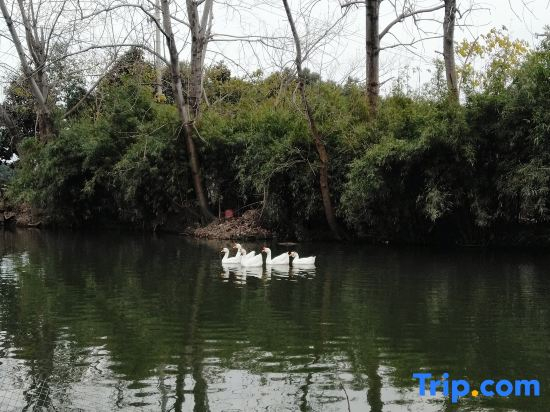 Xiangcaoyuan Holiday Farm