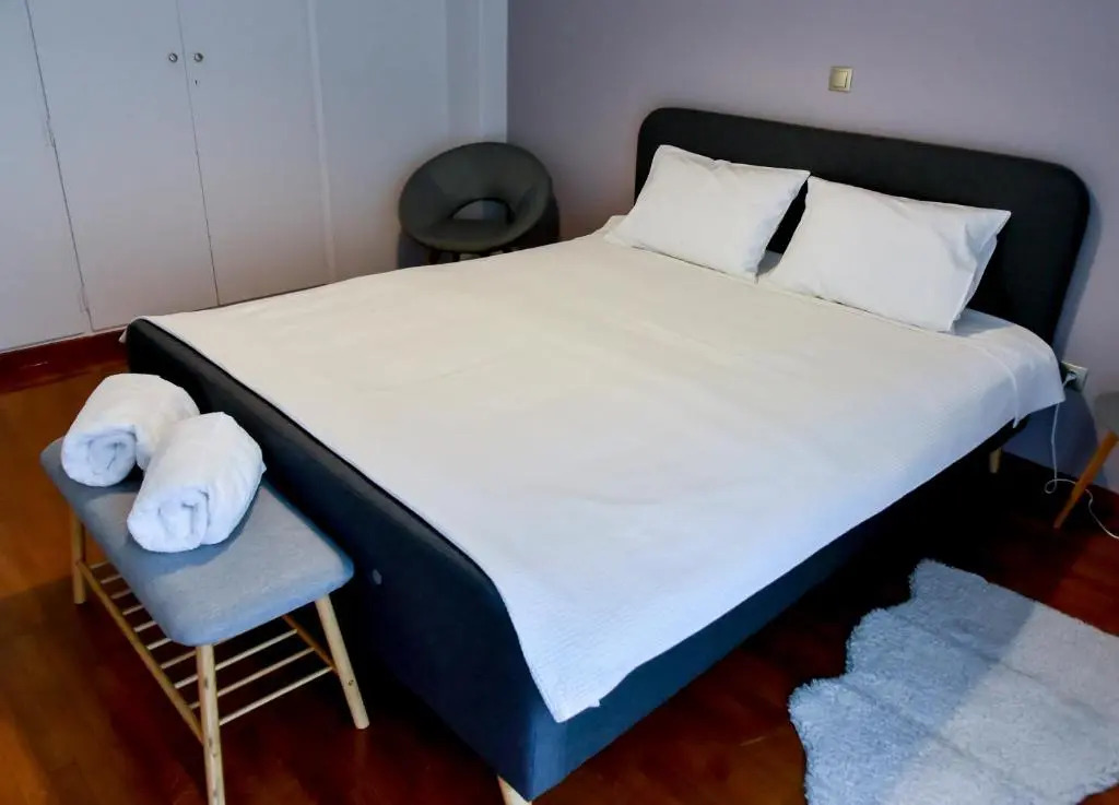 DARSISS 1 - Museum Apartment