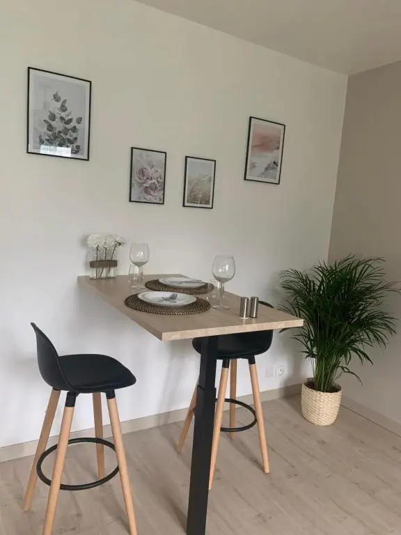 Chaleureux Studio 30m2 - Au pied de la Gare - PARKING