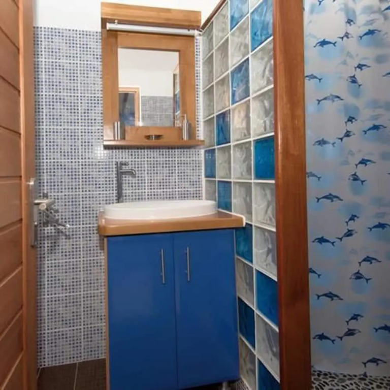 Bienvenue Au Tropic Venucia