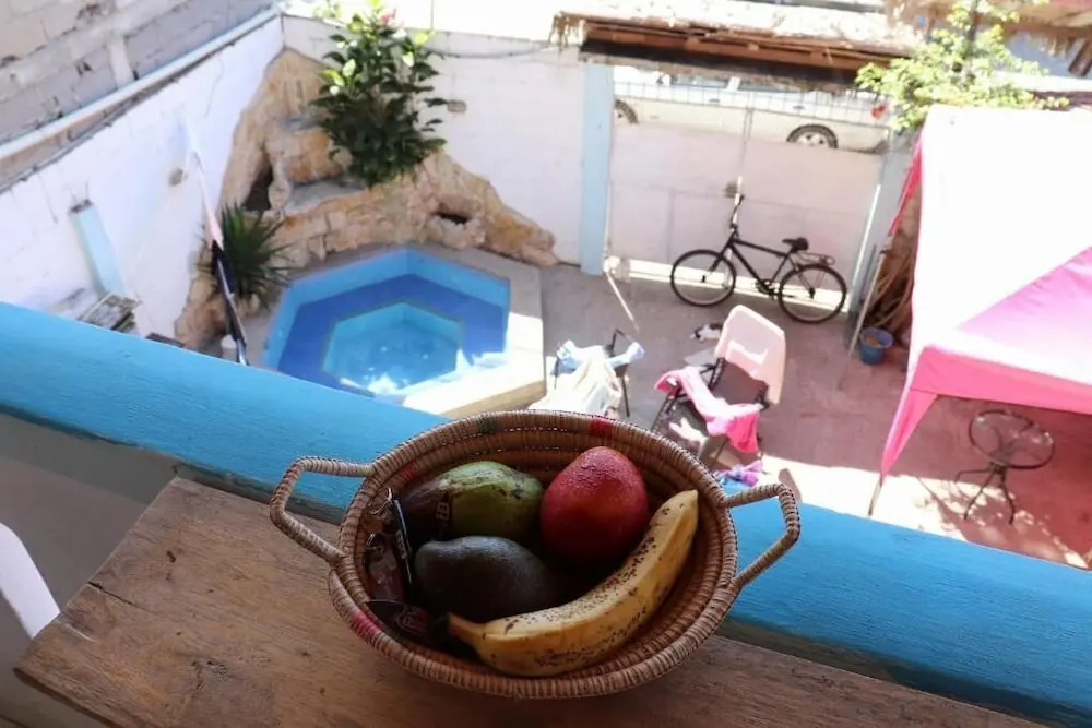 La Jungla
