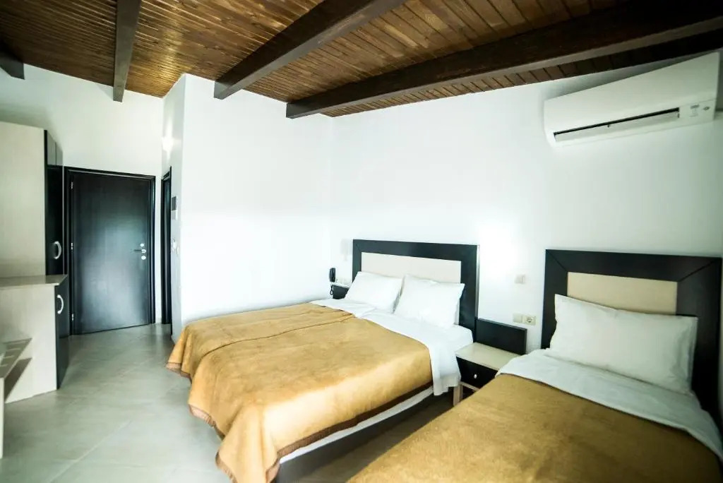 Hotel Dellis
