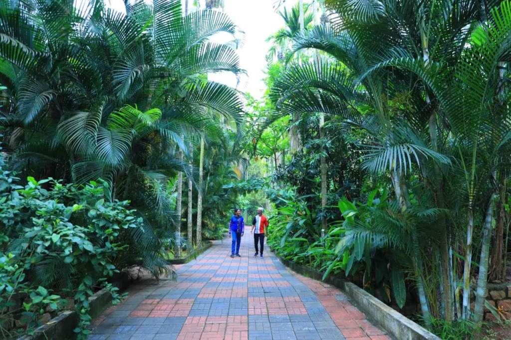 Parampara Resort & Spa