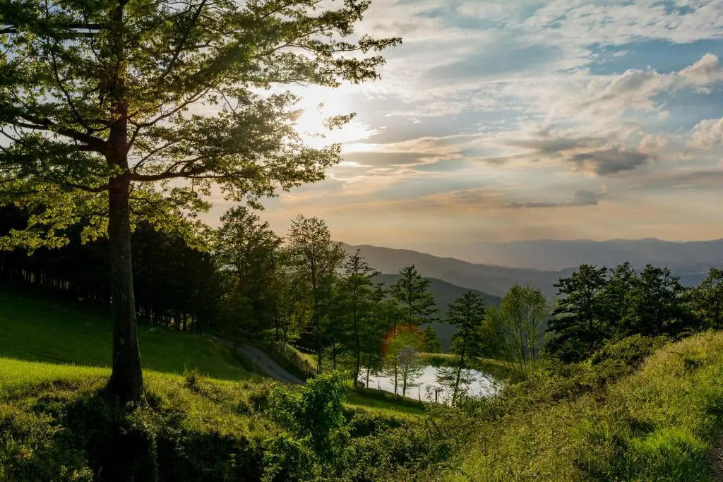 Agriturismo Casa Passerini a Firenze