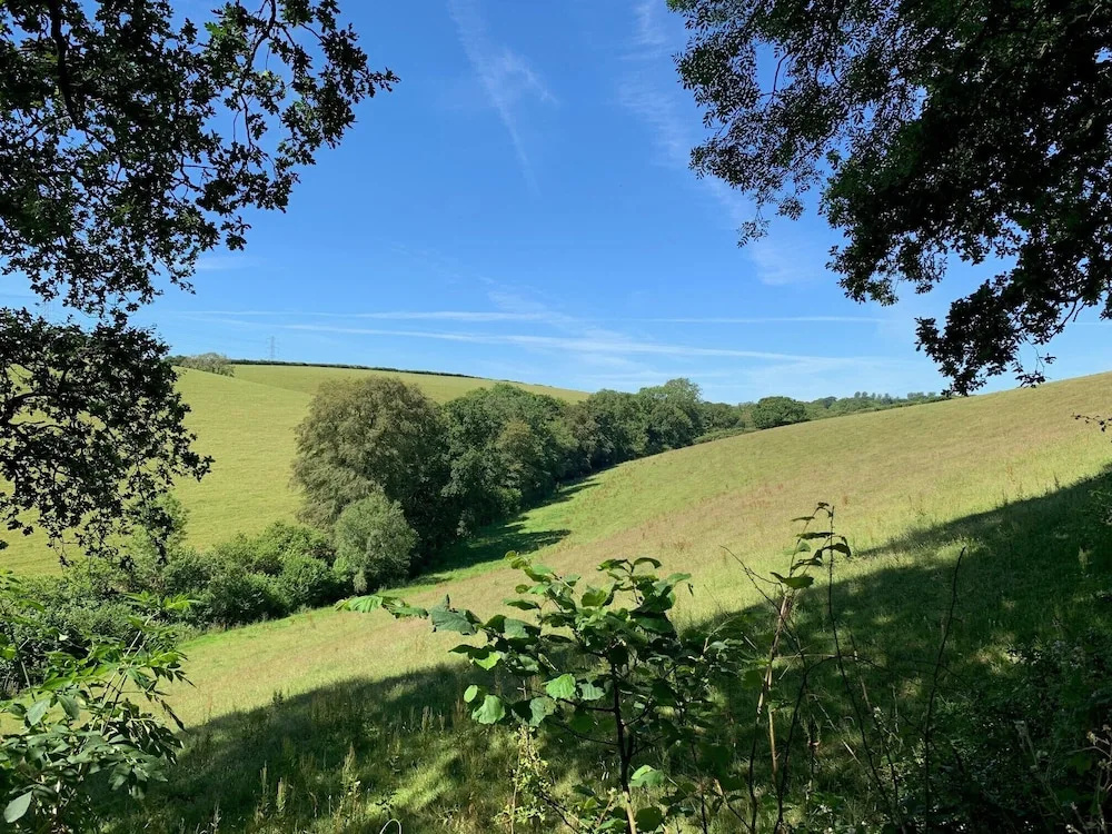 Tregondale Manor Farm
