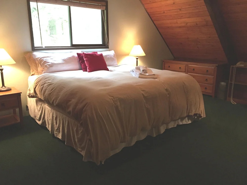 Snowline Cabin #98 A pet Friendly Cabin With a Wood Stove, hot tub and Wifi!