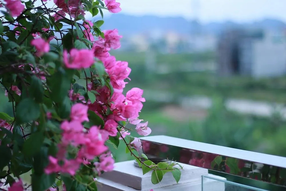 Salina Hotel Ninh Binh