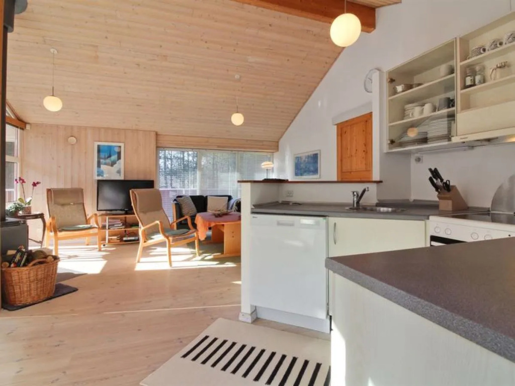 "Arbnora" - 500m from the sea in NW Jutland