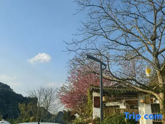 Xingyi Huazhidao Courtyard