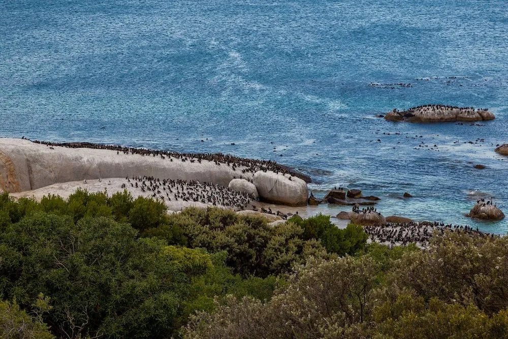 Tintswalo Boulders
