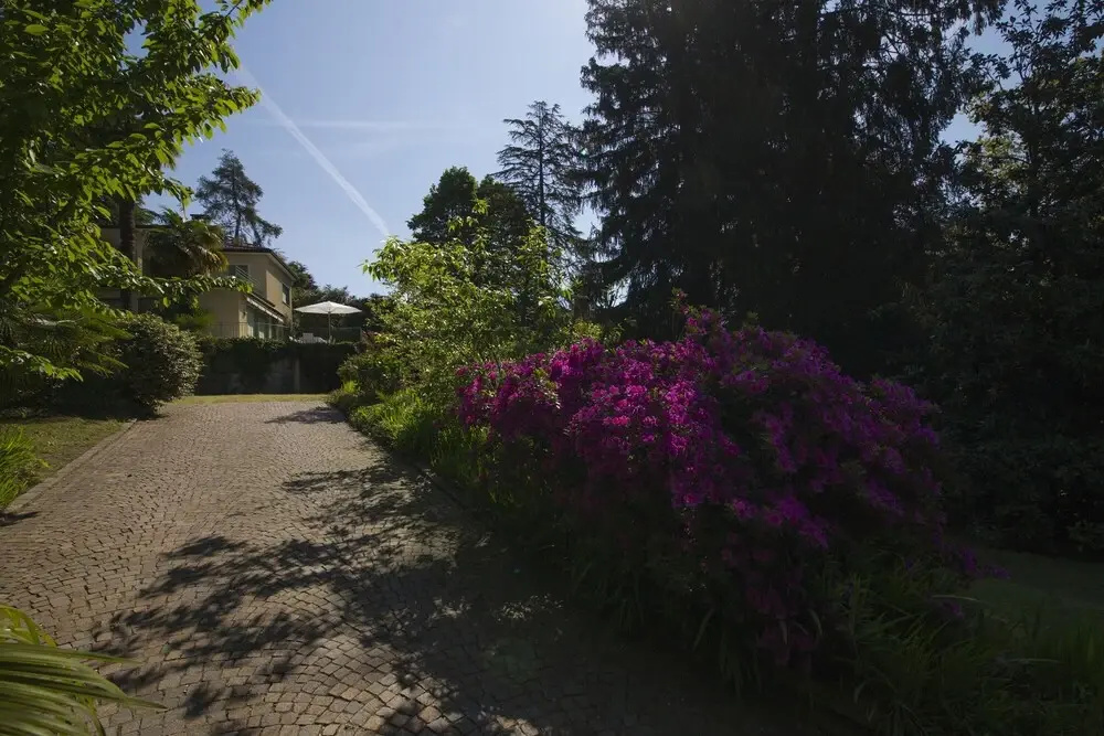 Villa La Terrazza nel bosco