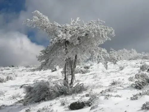 Alojamento Rampa