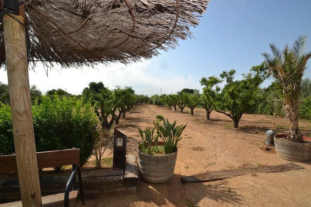 Finca Miguel