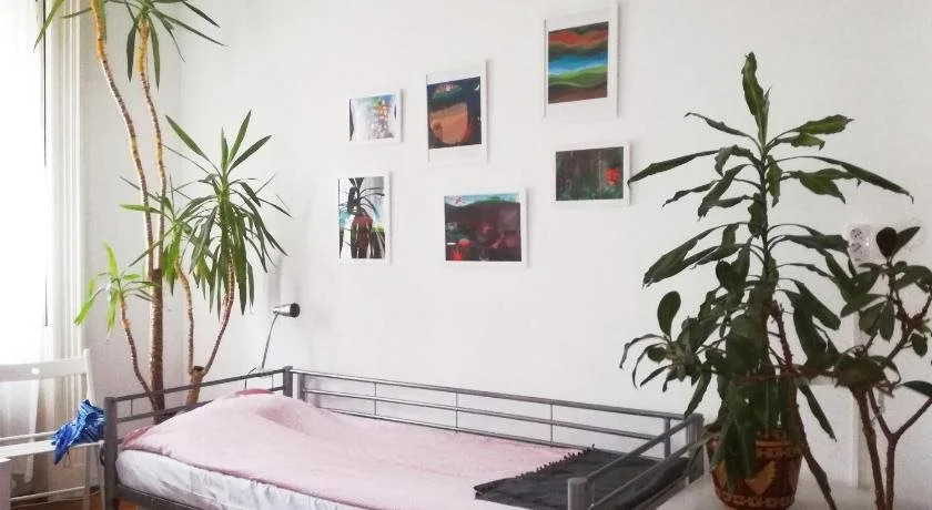Activity Hostel