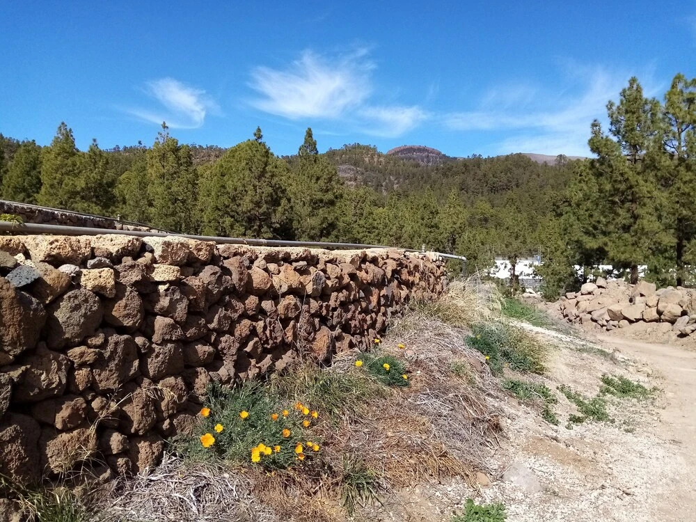 Ziggys Mountain Retreat