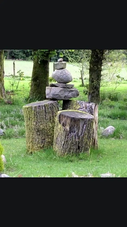 Haven of Trees - Hafan Y Coed