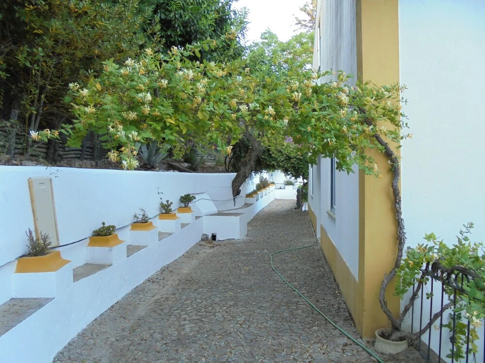 Casa Covao da Abitureira