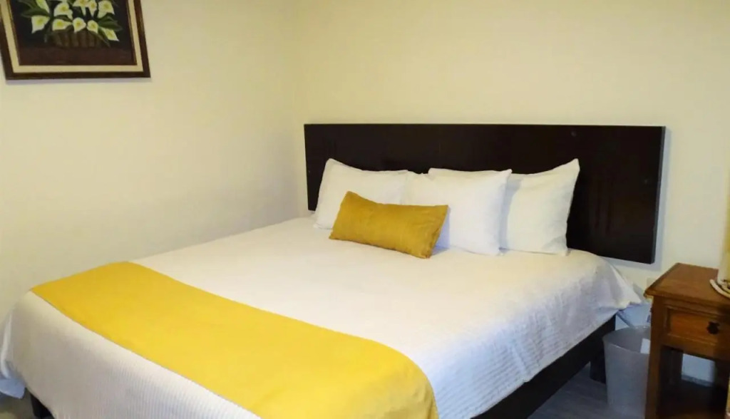 Hotel Barrio Antiguo