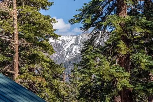 Ski Run Villas Retreat Listing #416