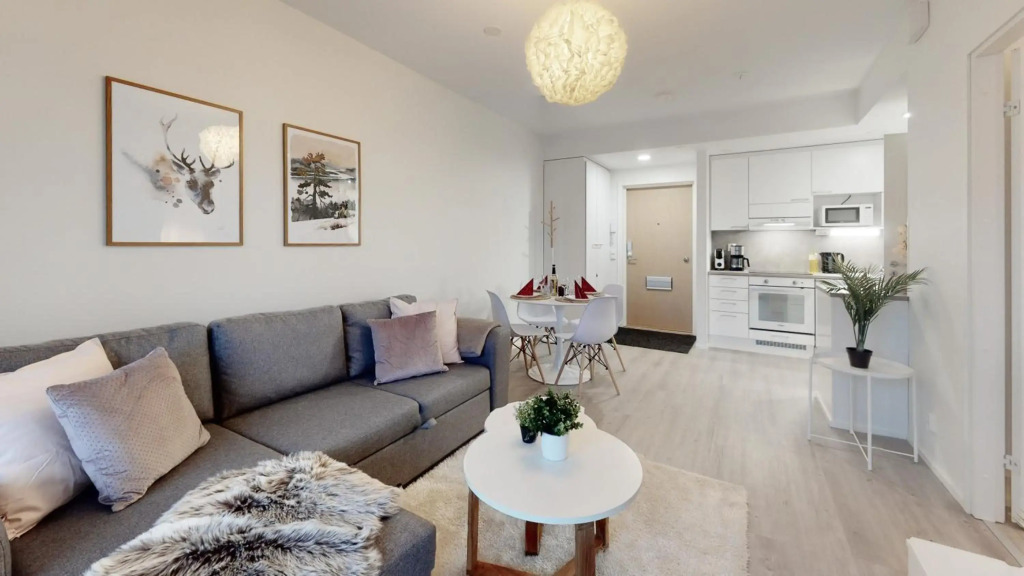 Apartment Scandinavia IV