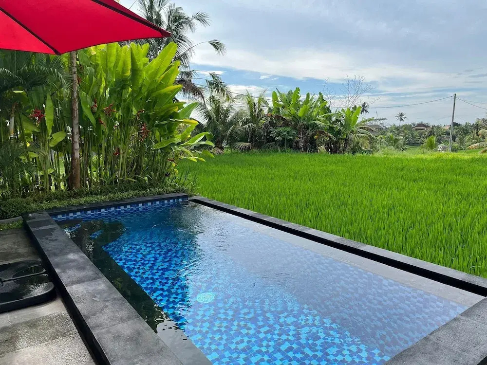 Maple Ridge Ubud Villas with Rice Field View