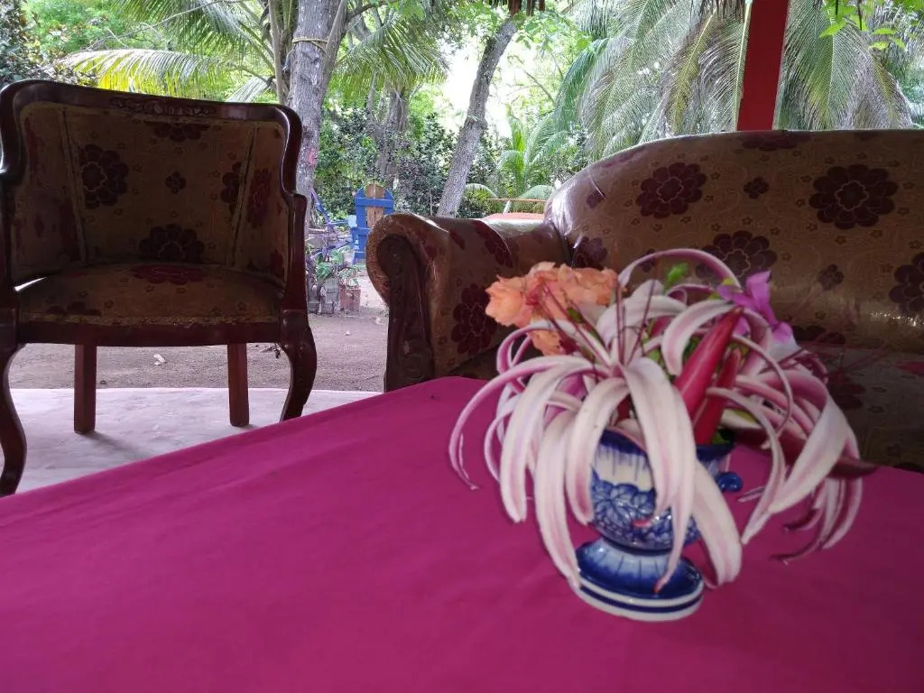 Eco Hotel Las Palmeras
